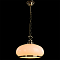 Светильник одинарный Arte Lamp A3561SP-1AB