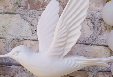 ТЦ «Арка», ул. Ленинградская, д. 81