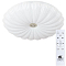 Светильник с пультом ARTE LAMP A2675PL-72WH
