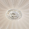 Светильник с пультом ARTE LAMP A2675PL-72WH