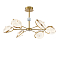 Freya FR5209PL-L42G