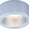 Светильник накладной ARTE LAMP A5553PL-1GY