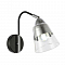 Светильник на 1 лампу EVOLUCE SLE102901-01